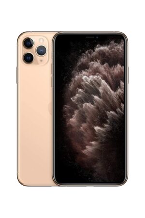 Apple iPhone® 11 Pro Max Space Gray (256 GB)